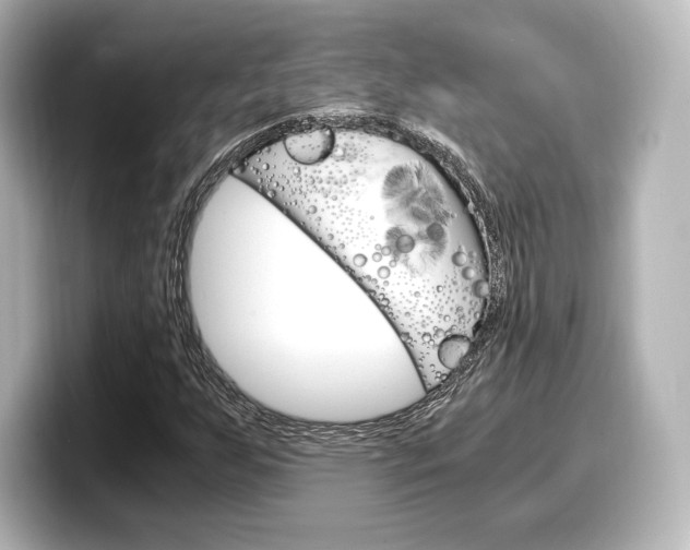 X0000098191255200804241044