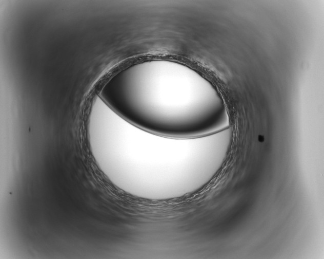 X0000098191256200804241044