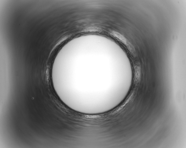 X0000098191258200804241044