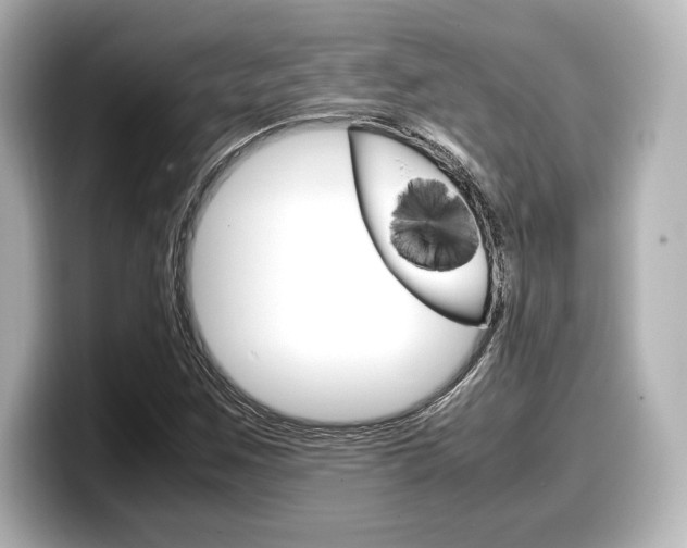 X0000098191259200804241044