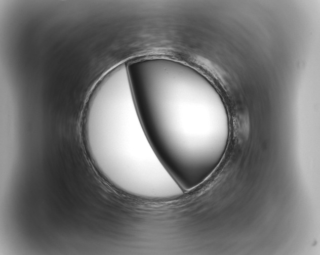 X0000098191260200804241044