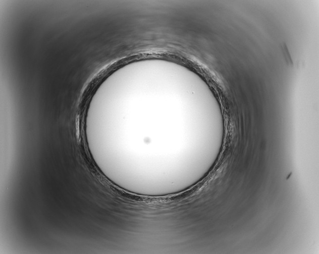 X0000098191262200804241044