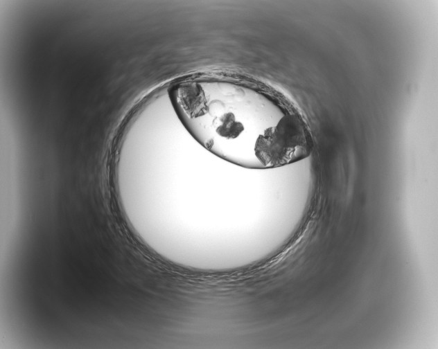 X0000098191263200804241044
