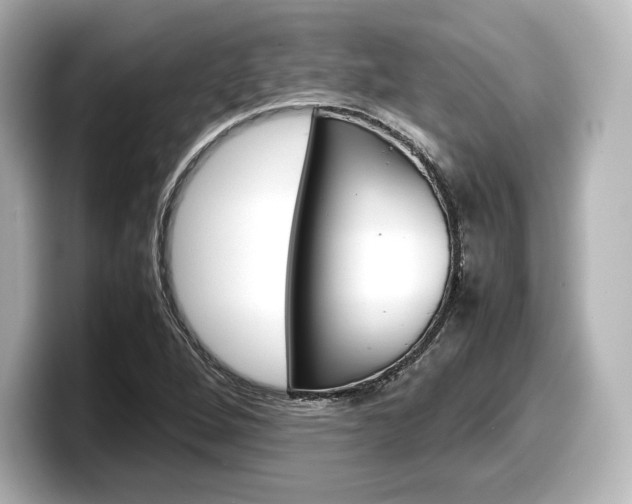 X0000098191264200804241043