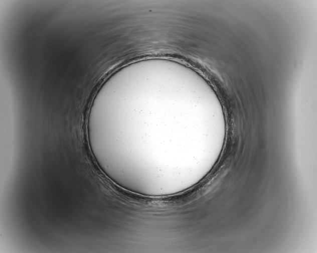 X0000098191265200804241043