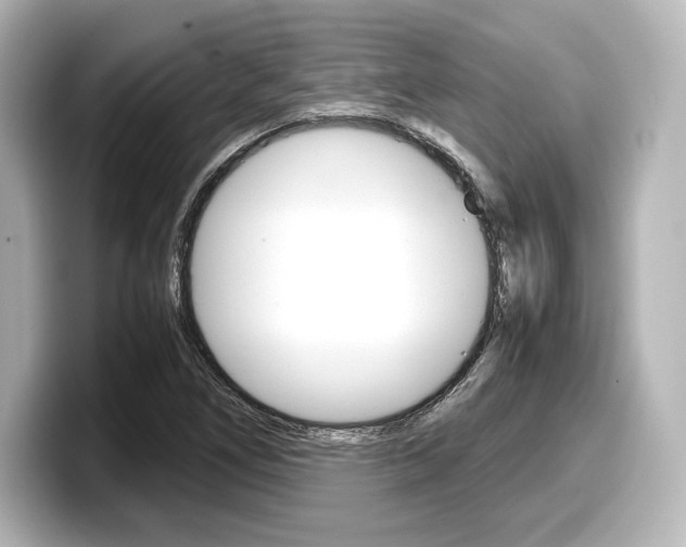 X0000098191266200804241043