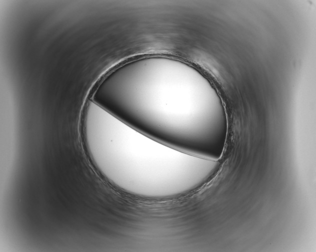 X0000098191268200804241043