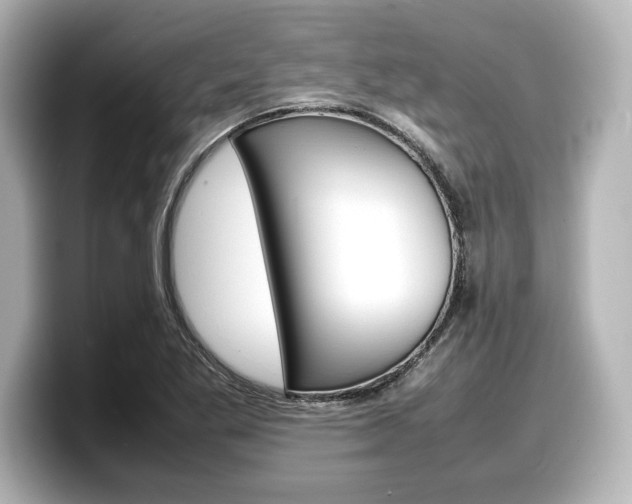 X0000098191269200804241043