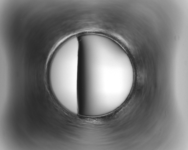 X0000098191270200804241043