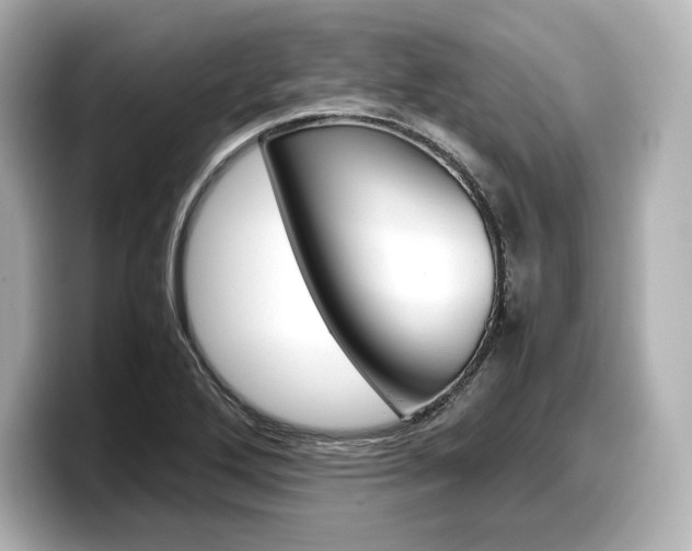 X0000098191272200804241043