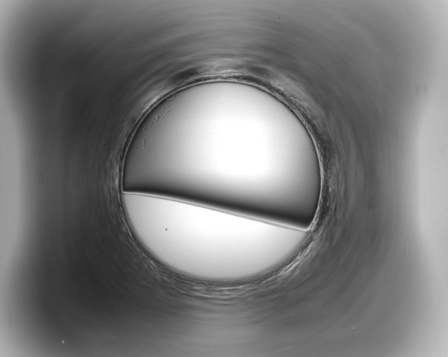 X0000098191273200804241043
