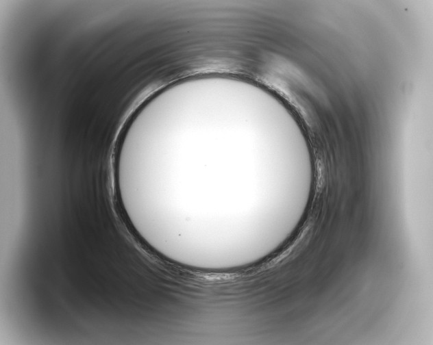 X0000098191274200804241043