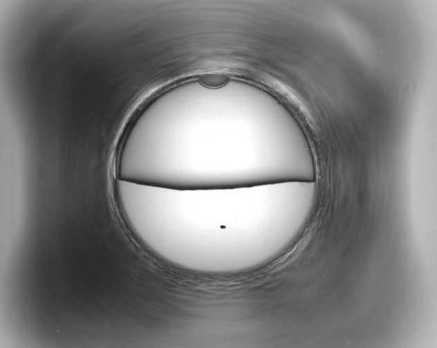 X0000098191275200804241043