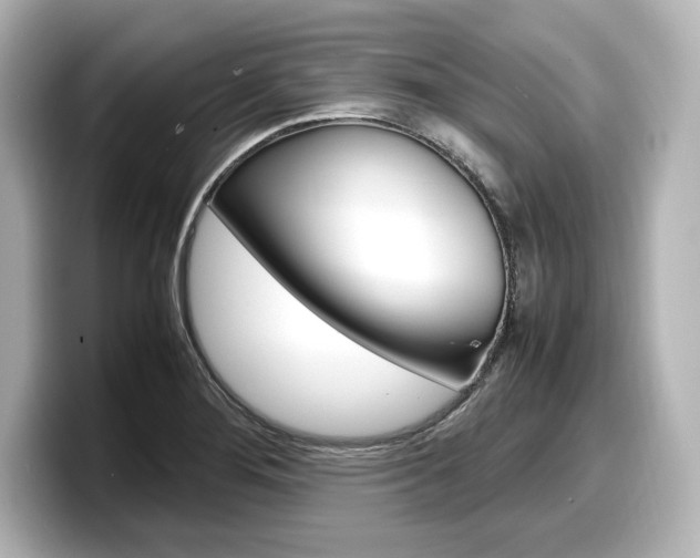 X0000098191276200804241043