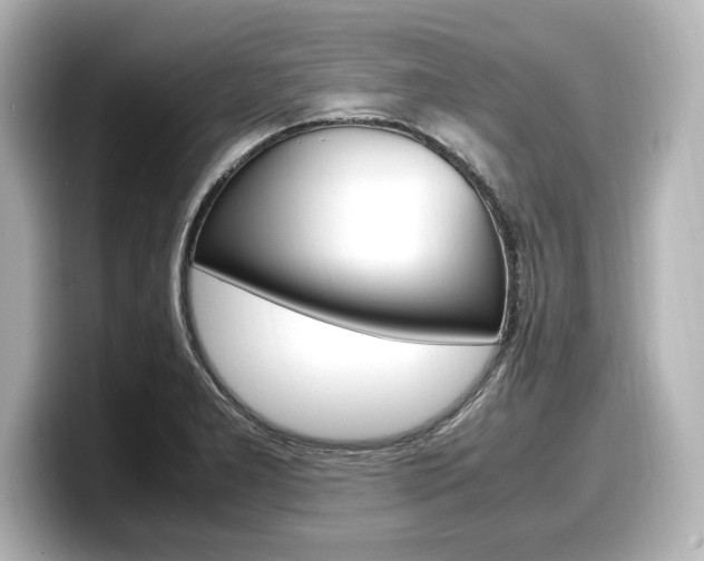 X0000098191277200804241043