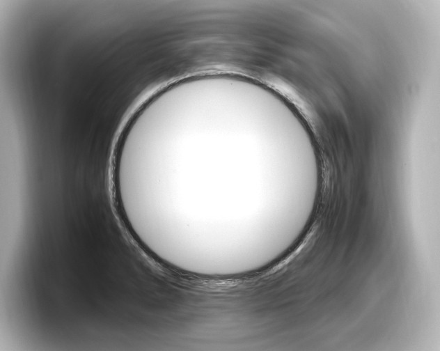 X0000098191278200804241043