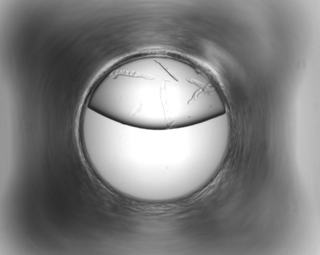 X0000098191279200804241043