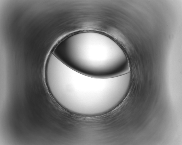 X0000098191280200804241043