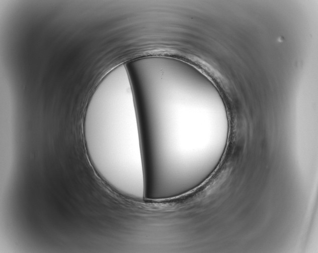 X0000098191281200804241043