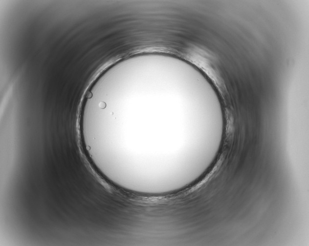 X0000098191282200804241043
