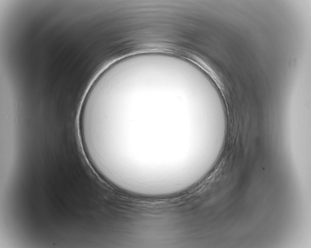 X0000098191283200804241043