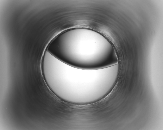 X0000098191284200804241043