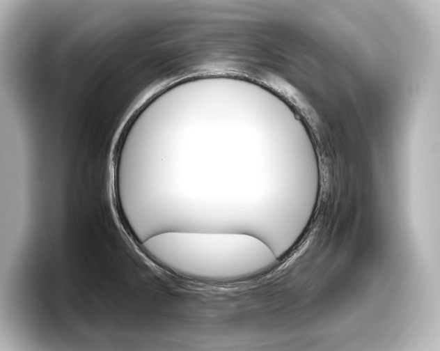 X0000098191286200804241043