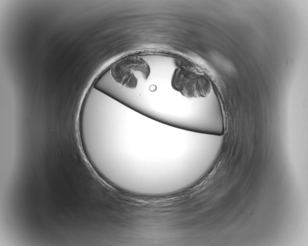 X0000098191287200804241043