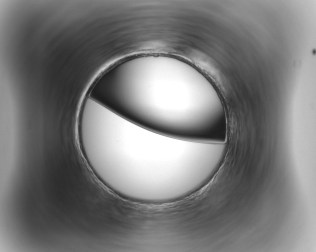 X0000098191288200804241043