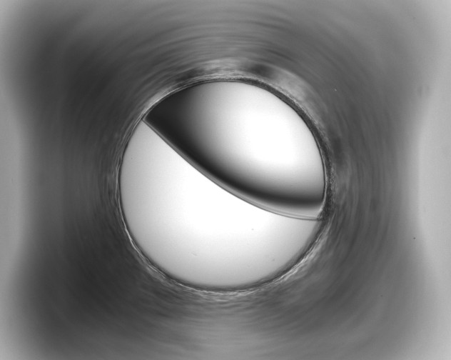 X0000098191289200804241043