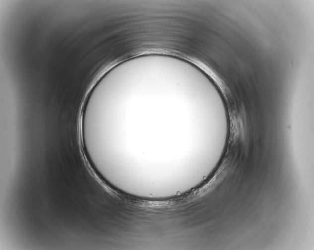 X0000098191290200804241043