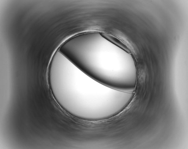 X0000098191292200804241043