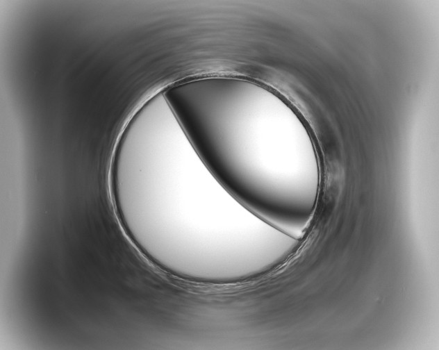 X0000098191293200804241043