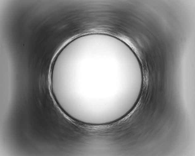 X0000098191294200804241043