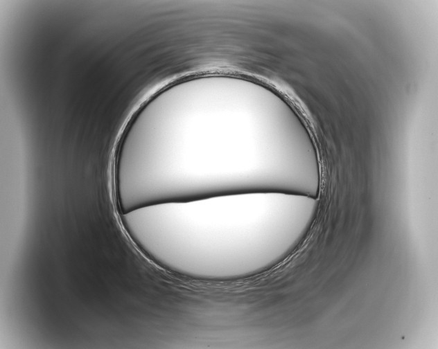 X0000098191295200804241043