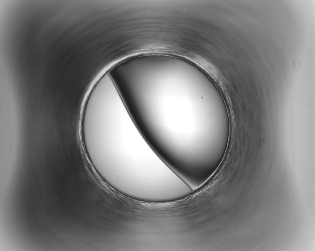X0000098191296200804241043