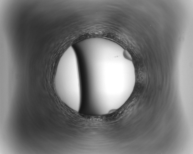 X0000098191297200804241042