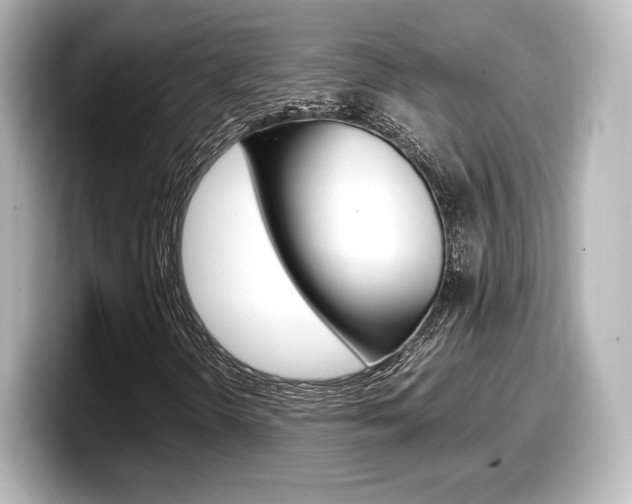 X0000098191298200804241042
