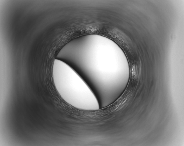 X0000098191299200804241042