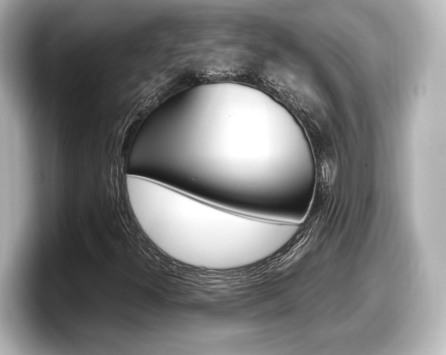 X0000098191300200804241042