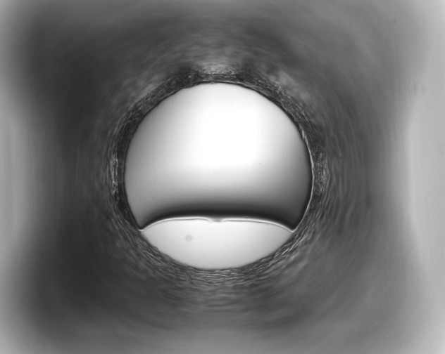X0000098191301200804241042