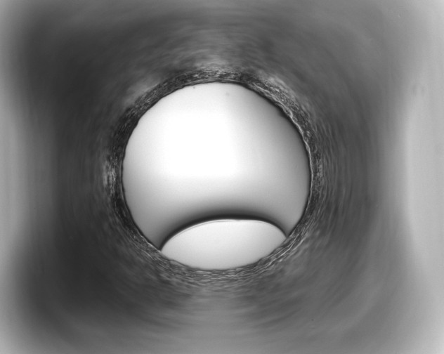 X0000098191302200804241042