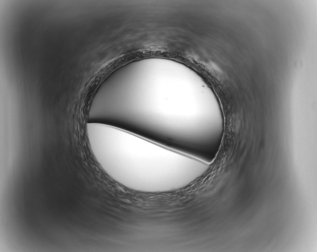 X0000098191303200804241042