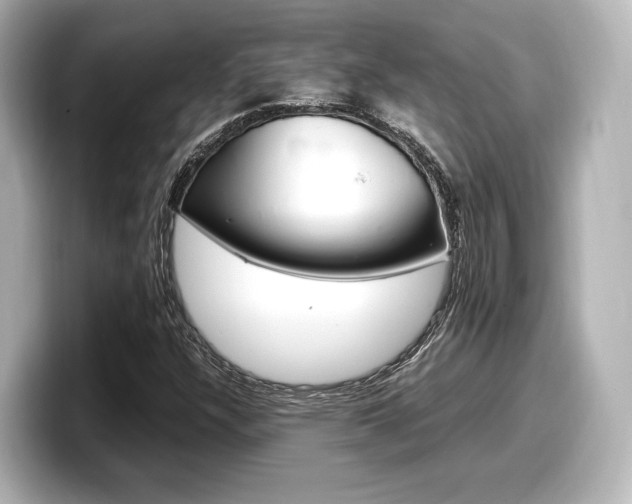 X0000098191304200804241043