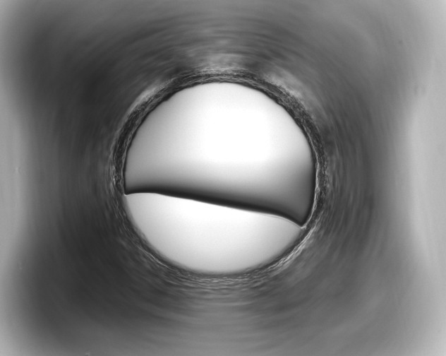 X0000098191306200804241043
