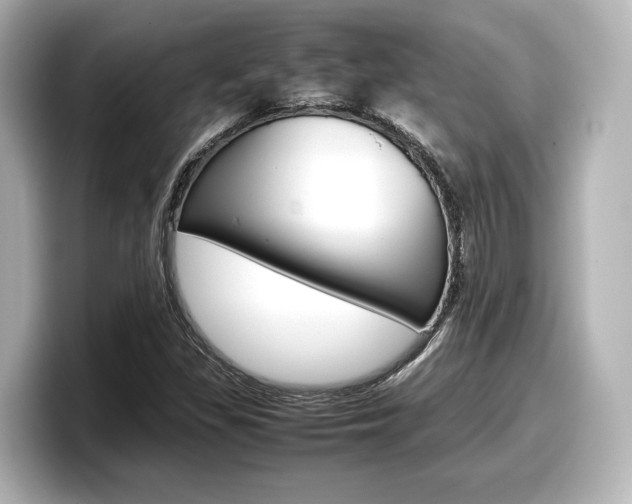X0000098191309200804241043