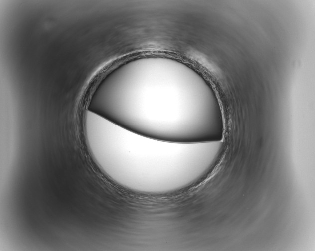 X0000098191310200804241043