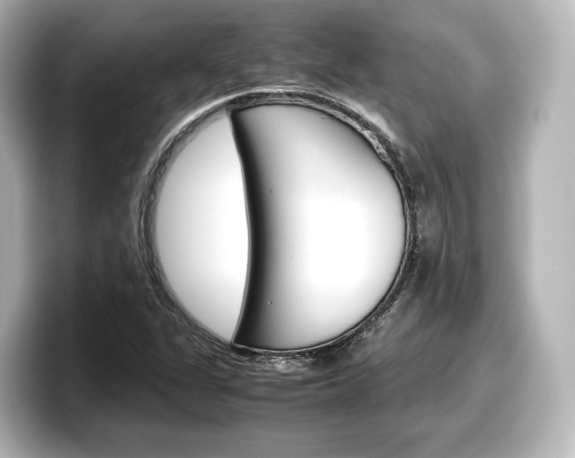 X0000098191311200804241043