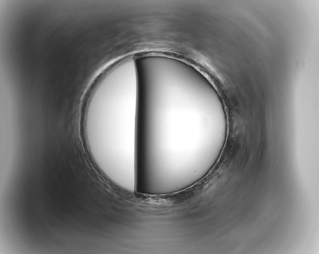 X0000098191312200804241043