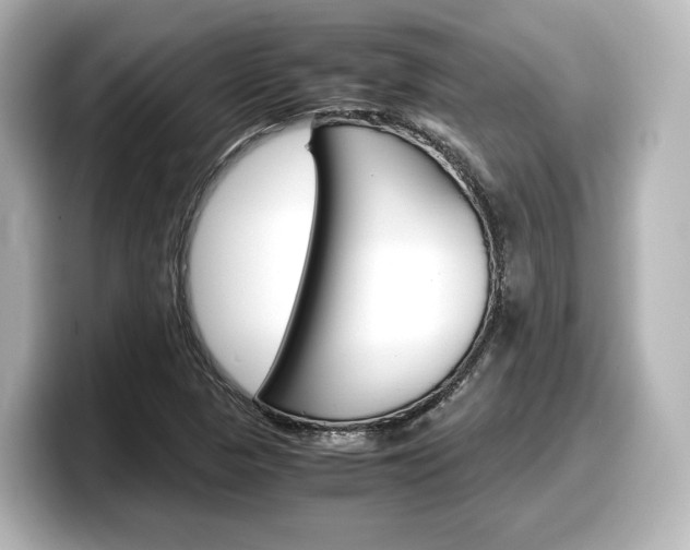 X0000098191313200804241043